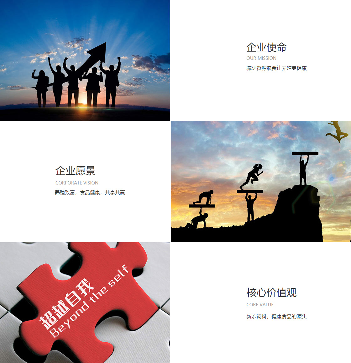 美狮贵宾中心(图1)